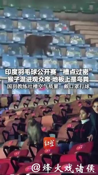 世界羽联回应印度公开赛猴子入场、落鸟粪等问题 世界羽联回应印度公开赛猴子入场、落鸟粪等问题